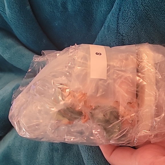 Goebel Hummel - Singing Lesson - #63 - Picture 3 of 3